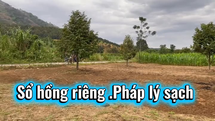 Đất Vườn Đạ Huoai 9247m² - Sổ Hồng, Giáp Sông, Mặt Tiền Nhựa Giá Tốt