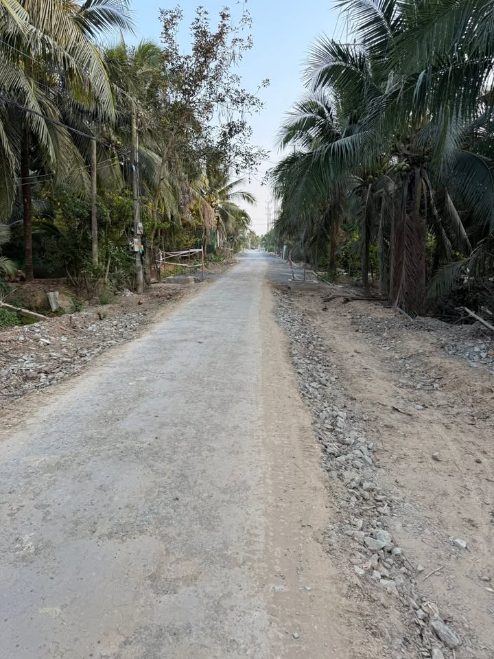 Đất nền Xã Phú Thuận Bình Đại 520m² - Tiềm năng tăng giá ngay!