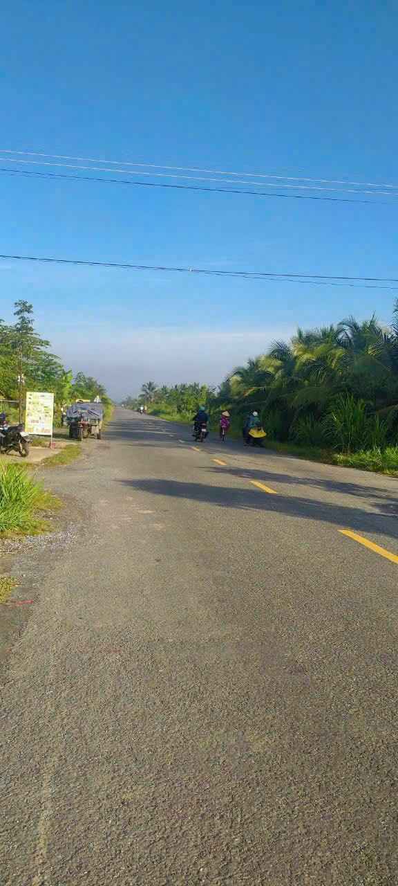 Bán Đất 208m² MT Lộ Nhựa Thị Trấn Giồng Trôm - Giá 1.3 Tỷ