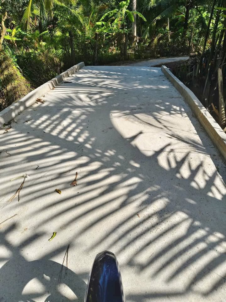 Đất Vườn Dừa Xiêm Xanh 664m² - Giá 690 Triệu Tại Giao Long, Bến Tre