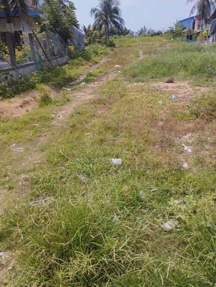 Đất nền Thành Thới B Mỏ Cày Nam 16.25 tỷ - Sổ đỏ chính chủ