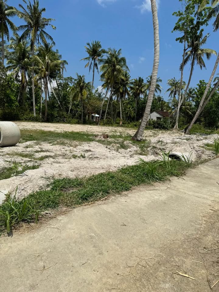 Đất Nền Phù Mỹ 155m² Sổ Đỏ Full Thổ Cư - Giá F0 195 Triệu