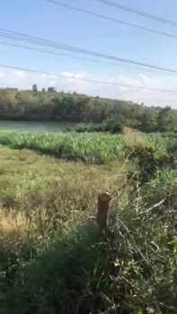 Đất Nền 1200m² Quốc Lộ 28 - View Hồ Thơ Mộng