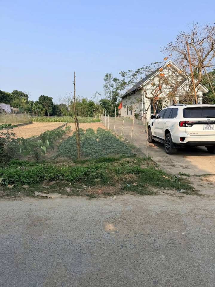 Đất nền Thanh Sơn 125.5m² - Sổ đỏ chính chủ, lô góc