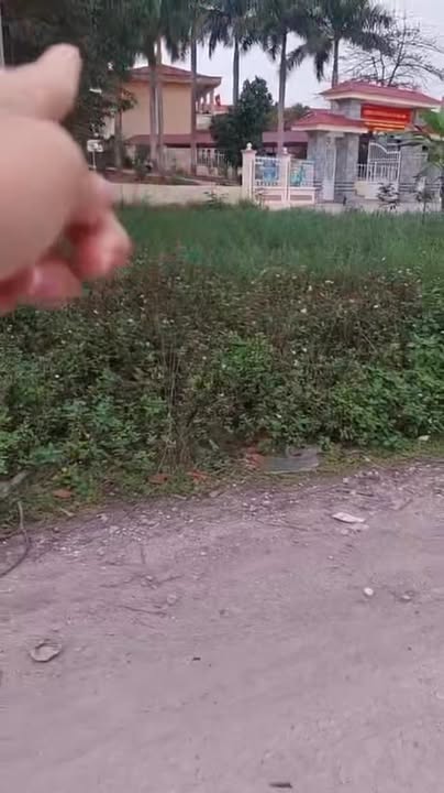 Đất 2 Mặt Tiền Chợ Tân Sỏi, Yên Thế - Kinh Doanh Bất Chấp 80.5m²