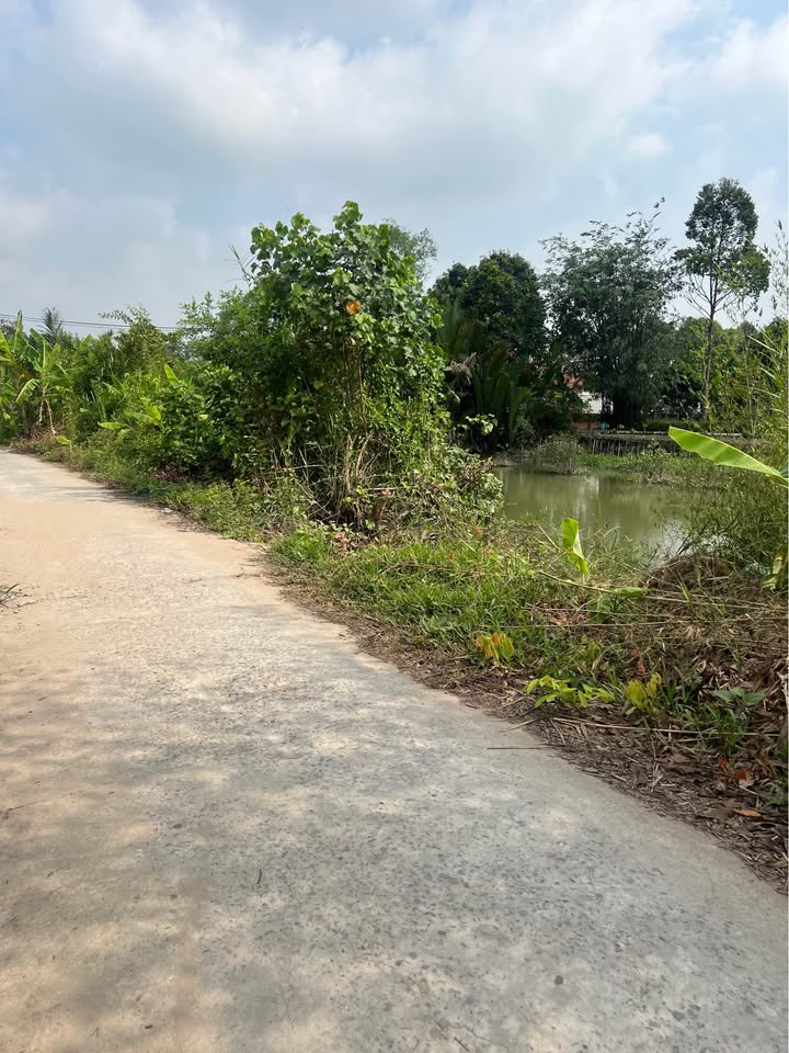 Đất nền 783m² Châu Thành, Hậu Giang - View sông cực chill!