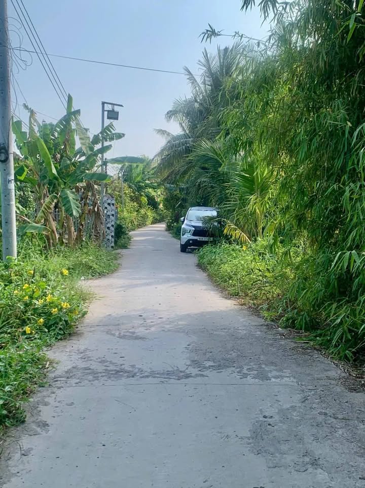 Đất nền An Phước, Mang Thít 125m² - Đất thổ cư 100%!