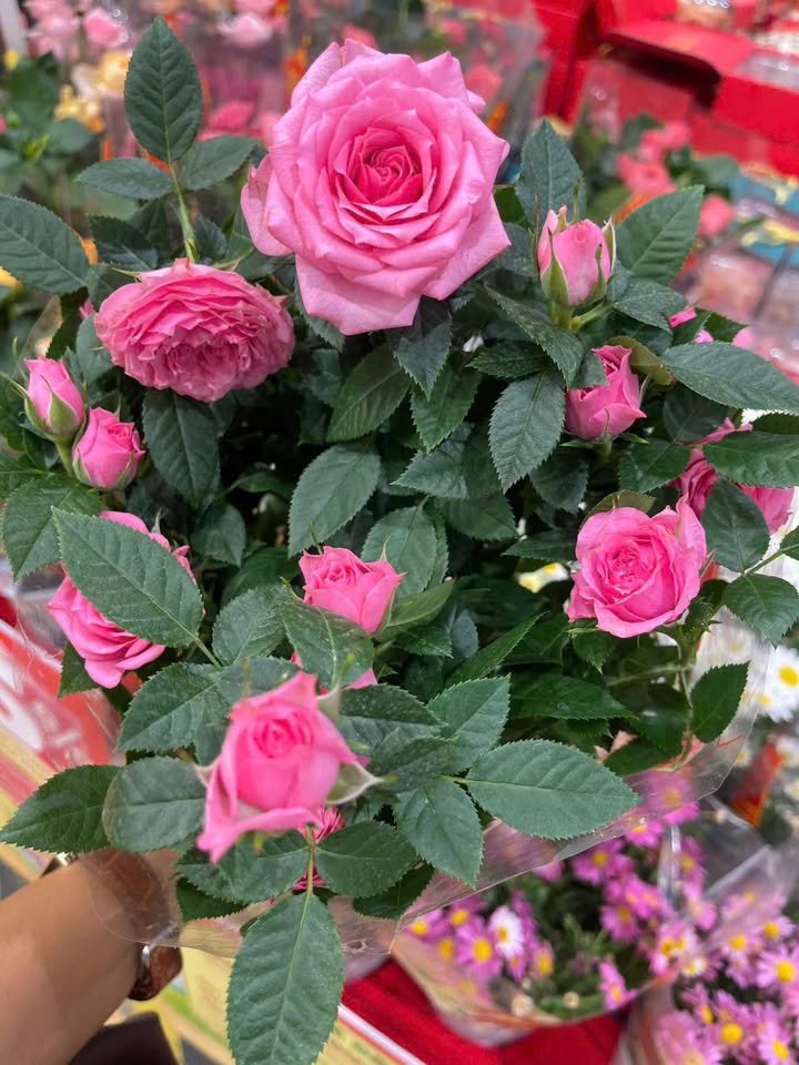 Đất nền Bến Cát 150m² giá 2.8 tỷ - Sổ đỏ chính chủ