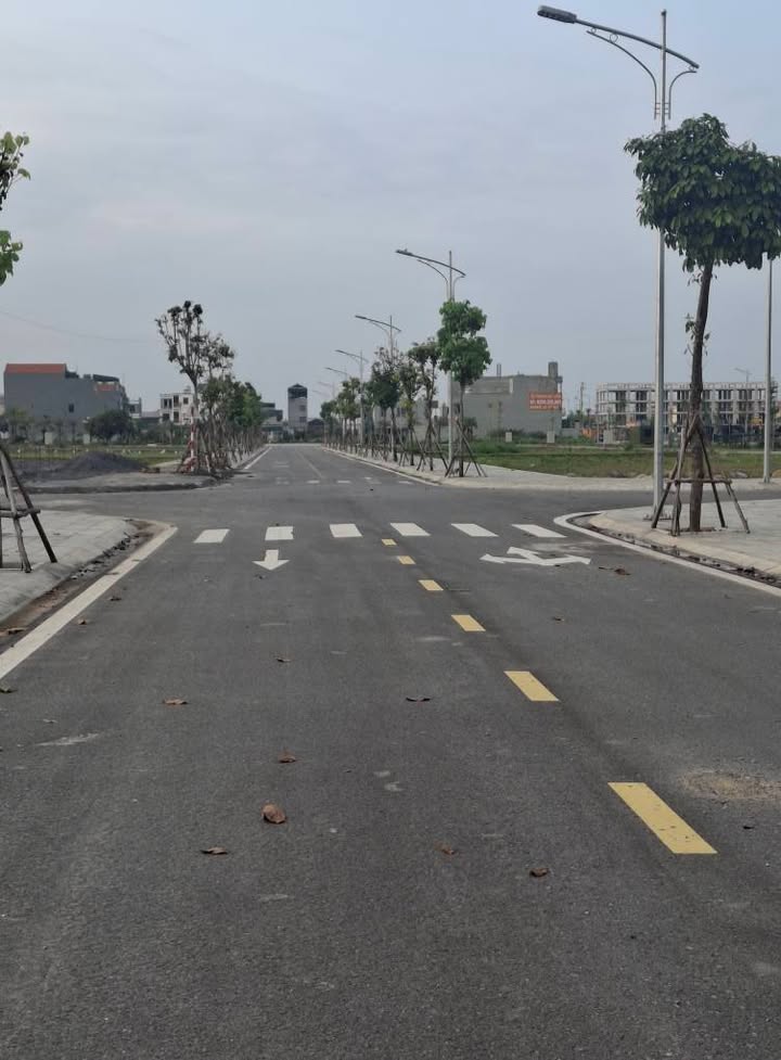 Đất nền 100m² Khu Đô Thị Hoàng Lý - Sổ đỏ, tiềm năng tăng giá cao