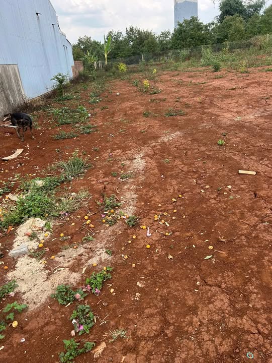 Đất nền Buôn Hồ 740m² 162.8 tỷ - Đất thổ cư 100%