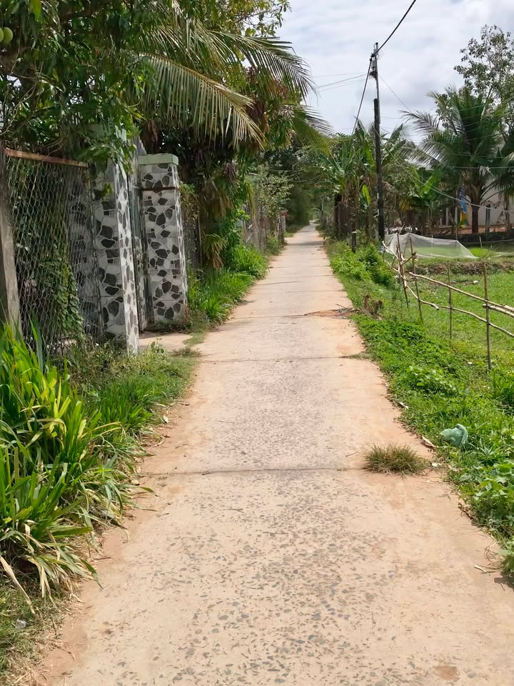 Đất nền Ngũ Lạc, Duyên Hải 342m² – Tiềm năng tăng giá hấp dẫn!