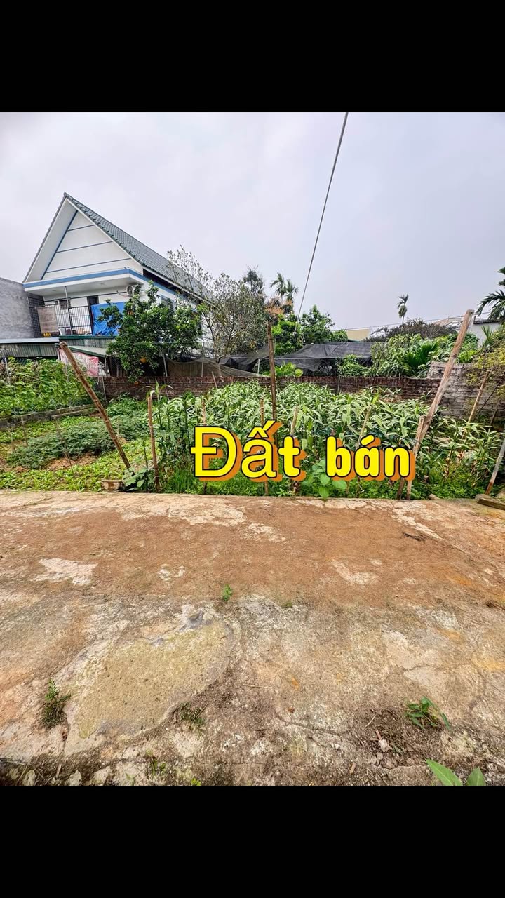 Đất Tích Giang Phúc Thọ 41m² 1 tỷ - Tiềm năng tăng giá