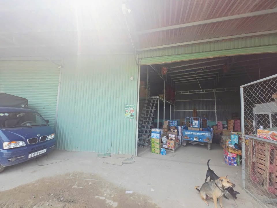 Đất Nền Bình Hòa Thuận An 494m² - Mặt Tiền Rộng 42m - Giá 6 Tỷ