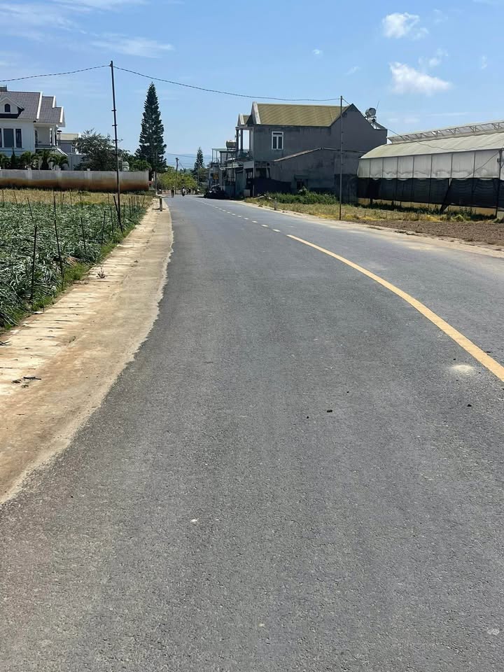 Đất nền Lê Thị Hồng Gấm, Thủ Đức 470m² - Xây dựng tự do!