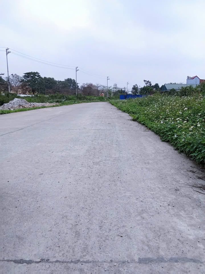 Đất nền Tam Điệp 70m² - Đường ô tô tránh, sổ đỏ chính chủ!