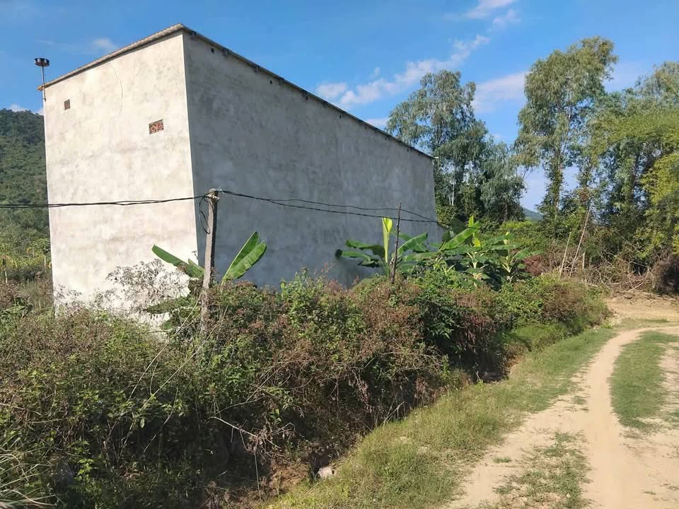 Nhà Yến 3948m² Ninh Lộc, Ninh Hòa - Đầu tư sinh lời ngay!