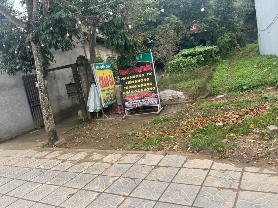 Đất nền Quốc lộ 2 Phù Ninh 138m² - Tiềm năng tăng giá!