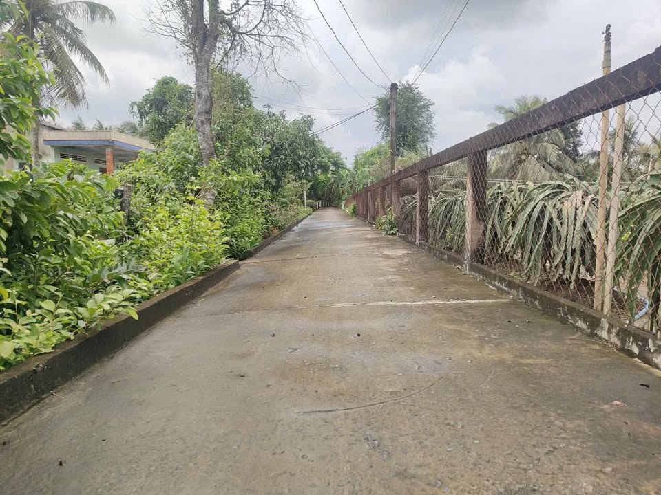 Đất Vườn Tiền Giang 2198m² - Sổ Đỏ Chính Chủ, Giá Tốt