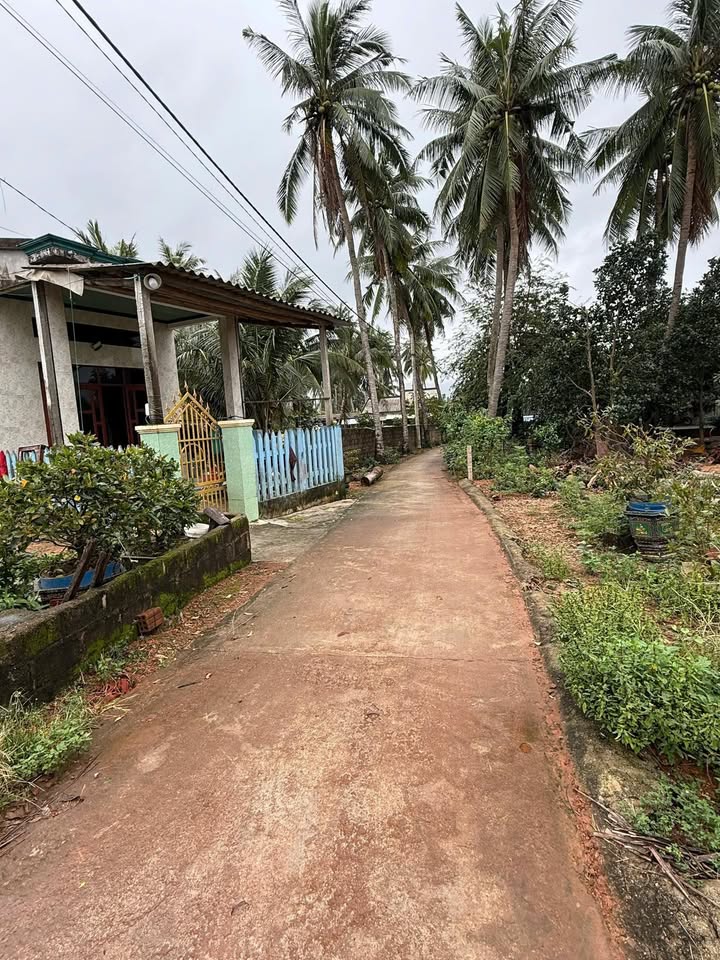 Đất thổ cư 105m² Phường Hoài Hương - Sổ đỏ sẵn sàng, giá 600 triệu