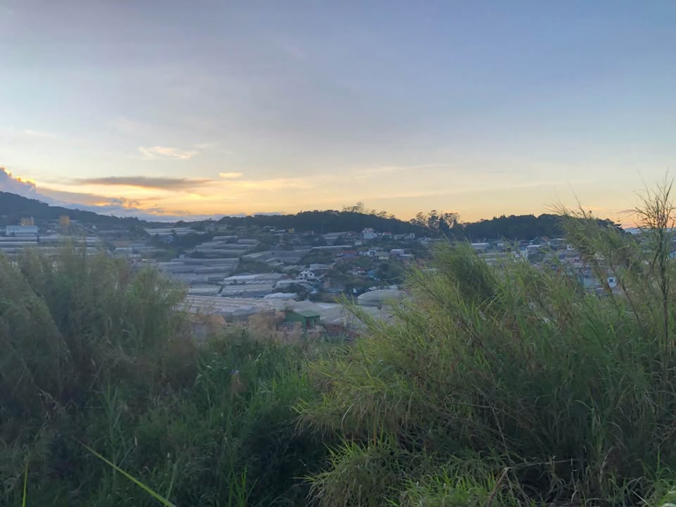 Bán Đất An Sơn Đà Lạt 85m² Sổ Riêng Giá 6.3 Tỷ