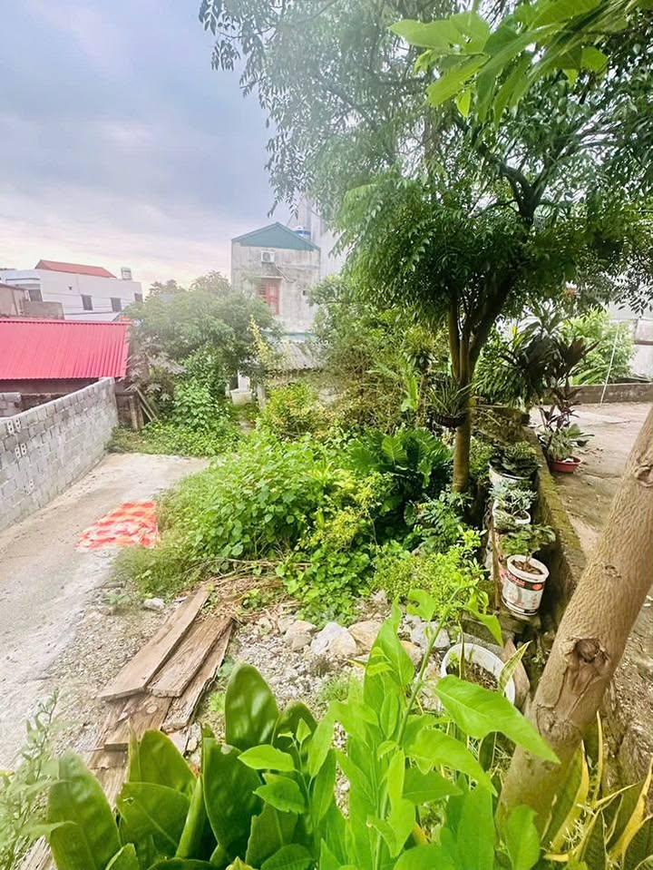 Đất thổ cư P. Kỳ Lừa Lạng Sơn 106m² 1,3 tỷ - Tiềm năng tăng giá