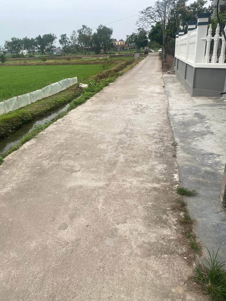 Đất nền Lương Tài 80m² - Đường to ô tô, tiềm năng tăng giá!