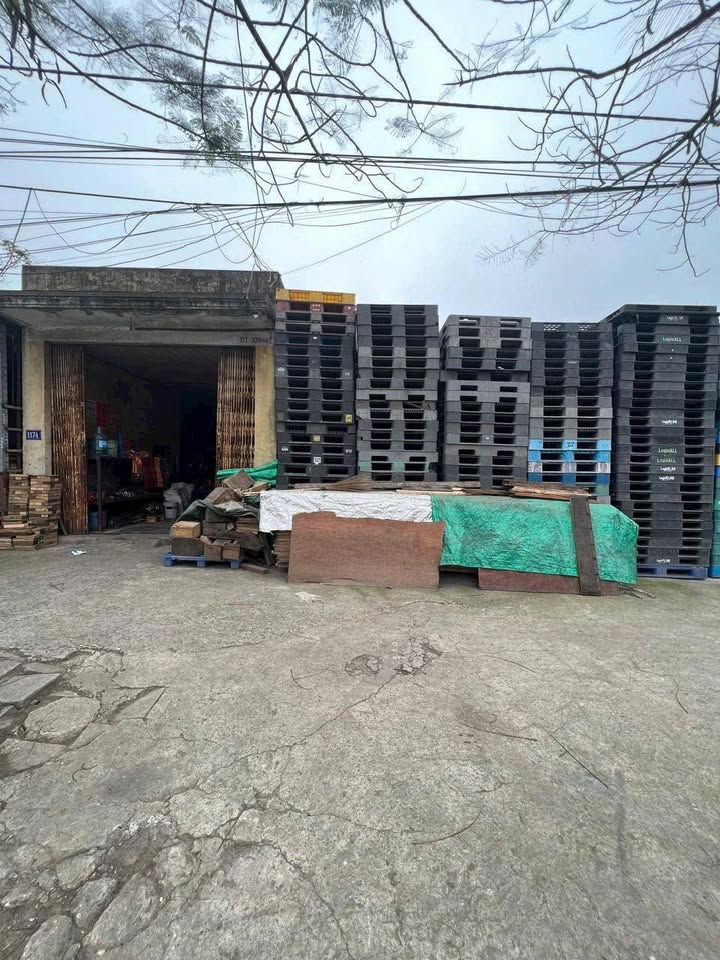 Đất nền Hải An 320m² Nguyễn Bỉnh Khiêm - Kinh doanh sầm uất!