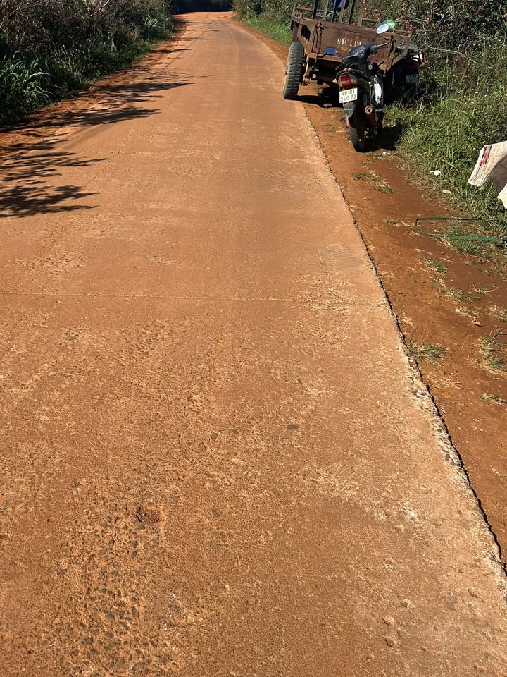 Bán Đất Nông Nghiệp 720m² Tại Đắk Song - Kinh Doanh Tiêu Mạnh, Tiềm Năng Phân Lô