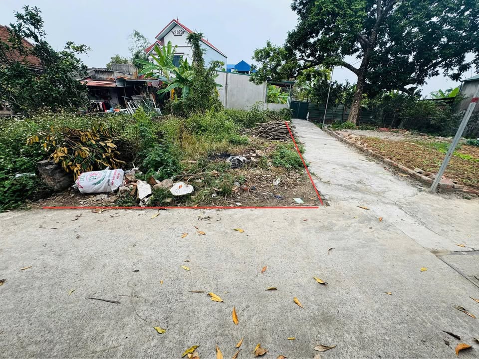 Đất Nền Lô Góc 69m² Thanh Oai - Sổ Đỏ Sẵn Sàng, Đường Thông Oto