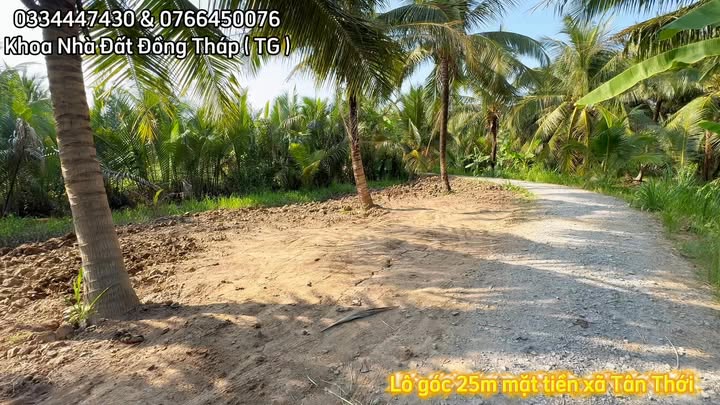 Đất nền 222m² Tân Thới, Tiền Giang - Sổ hồng chính chủ, chỉ 179 triệu!