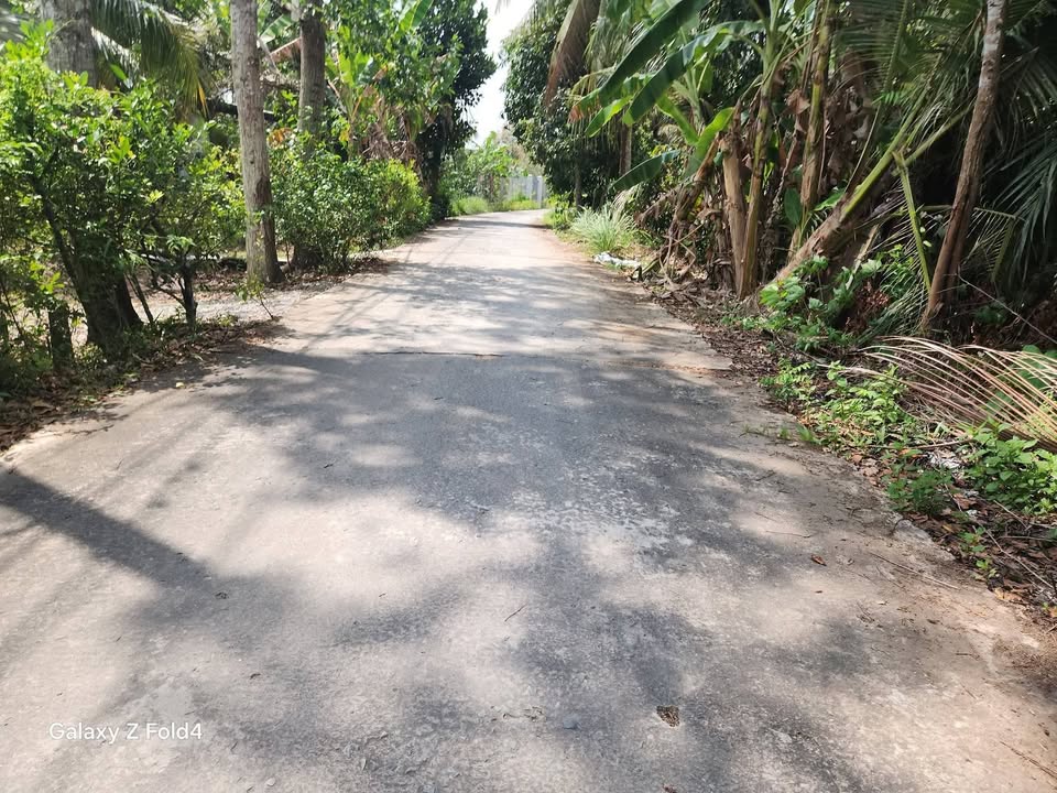 Đất nền Xã Vị Tân TP. Vị Thanh 1024m² - Đường to ô tô!