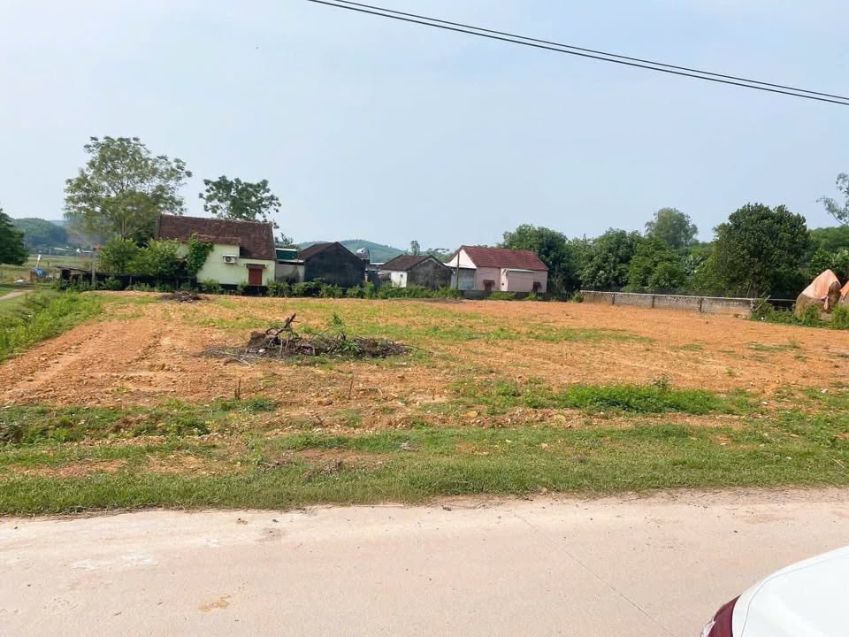 Đất Nền Đô Lương 216m² - Sổ Đỏ Sẵn Sàng - Giá Đầu Tư 5 Tỷ