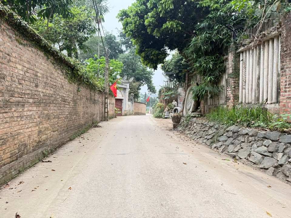 Đất nền Phú Cát Sơn Tây 115m² hơn 2 tỷ - Sổ đỏ chính chủ