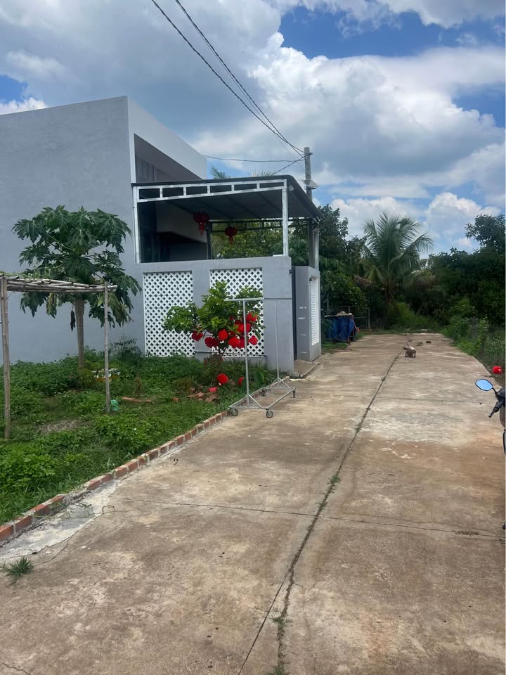 Đất nền Phường 8, Quận 6 1000m² giá 800 triệu - Sổ đỏ chính chủ!