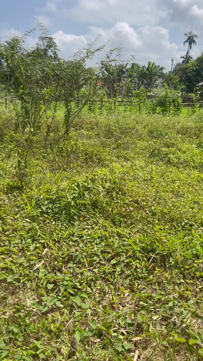 Đất nền Nam Phước 102m² giá 650 triệu - Sổ hồng chính chủ