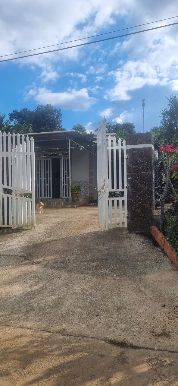 Đất nền Nam Ban 2.000m² 3.2 tỷ - Giá tốt hiếm có