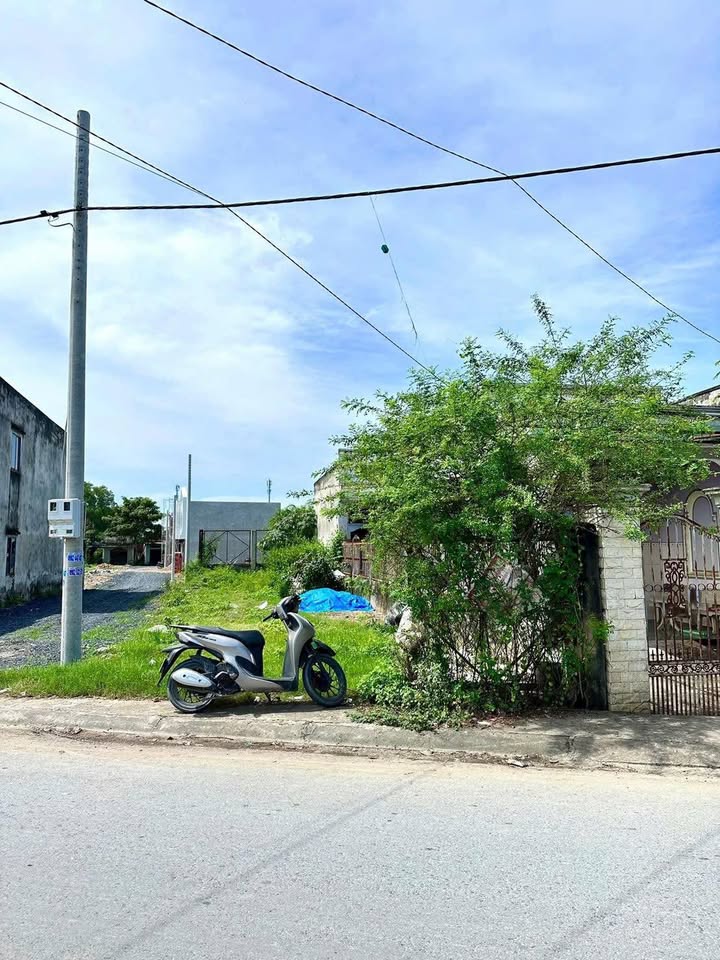 Nhà Mặt Tiền Nguyễn Thị Thọ, Đức Hòa - 168m² - Sổ Hồng Chính Chủ - 2.75 Tỷ