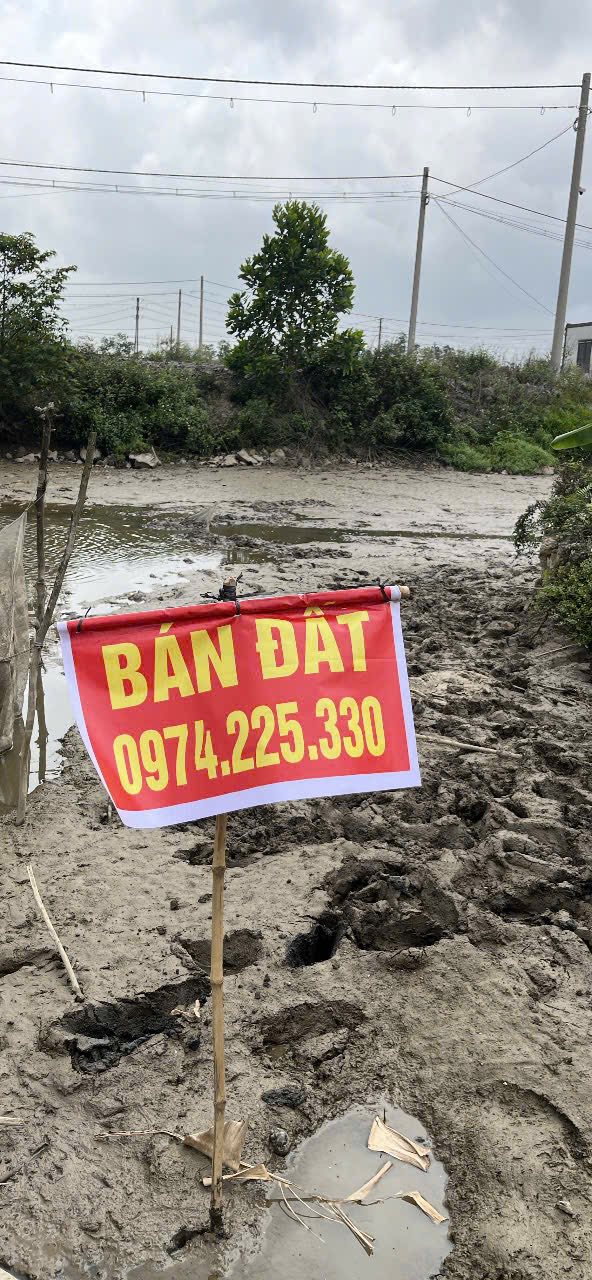 Đất nền 96m² Xã Ninh Phong, TP Ninh Bình - Sổ đỏ chính chủ!