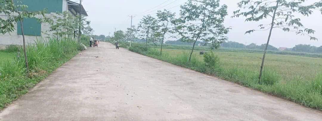 Đất nền Thọ Lập, Thọ Xuân 150m²/lô - Tiềm năng tăng giá vượt trội!