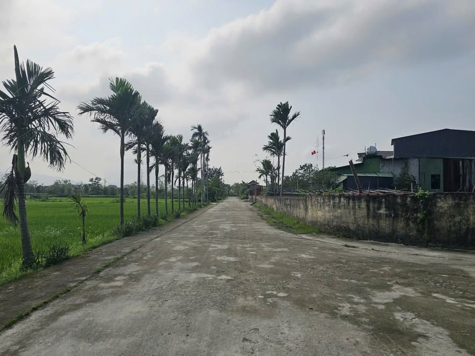 Đất nền Kỷ Các Hà Huy Tập 137m² 1 tỷ - Sổ đỏ chính chủ