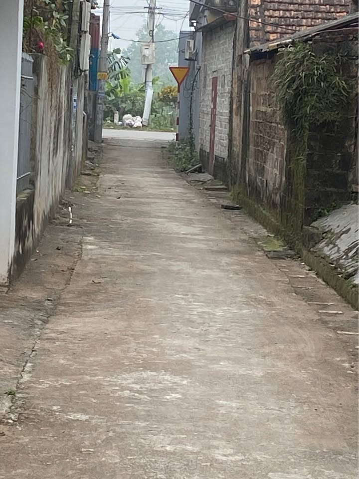 Đất nền 100m² Châu Giang, Duy Tiên, Hà Nam - Sổ đỏ sẵn sàng, ô tô vào tận nơi