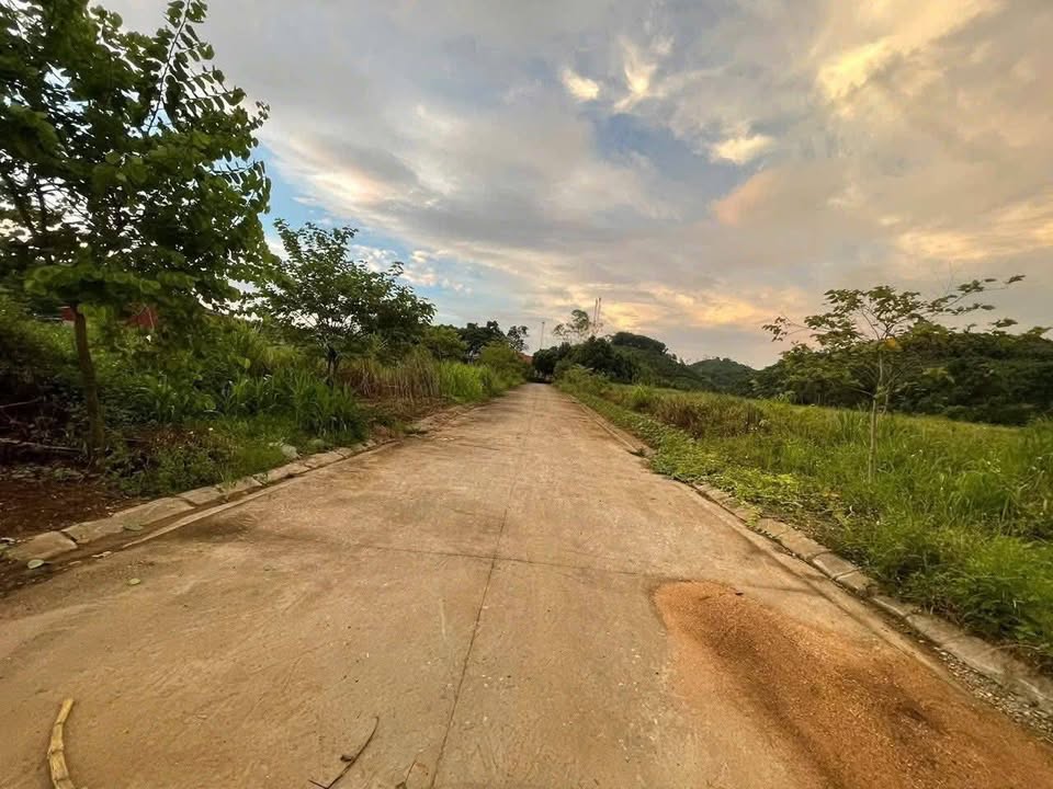 Đất nền TDC Hòa Cuông Yên Bái 100m² 200tr - Sổ đỏ chính chủ