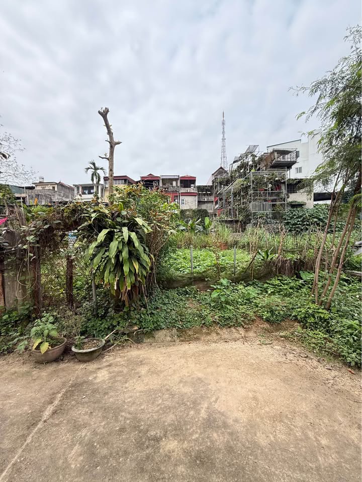 Đất thổ cư 100m² trung tâm TP Yên Bái, hướng Đông - Sổ hồng sẵn sàng giao dịch