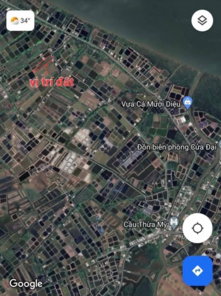 Đất vườn 7100m² Bình Thắng, Bến Tre – Tiềm năng đầu tư dài hạn