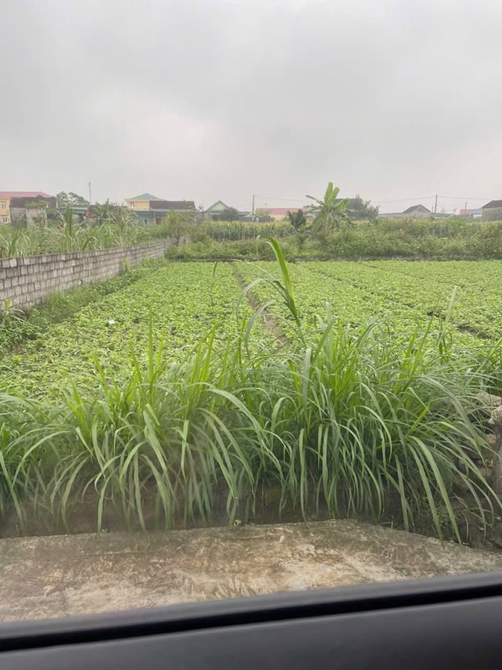 Đất nền Nghi Kiều Nghi Lộc 192m² 900 triệu - Đường to ô tô