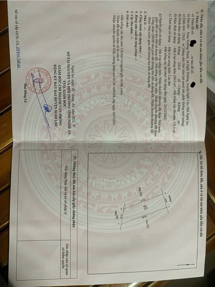 Đất Nền 2 Mặt Đường Đức Thiết, Nghi Lộc - 226m² Sổ Đỏ, Nở Hậu