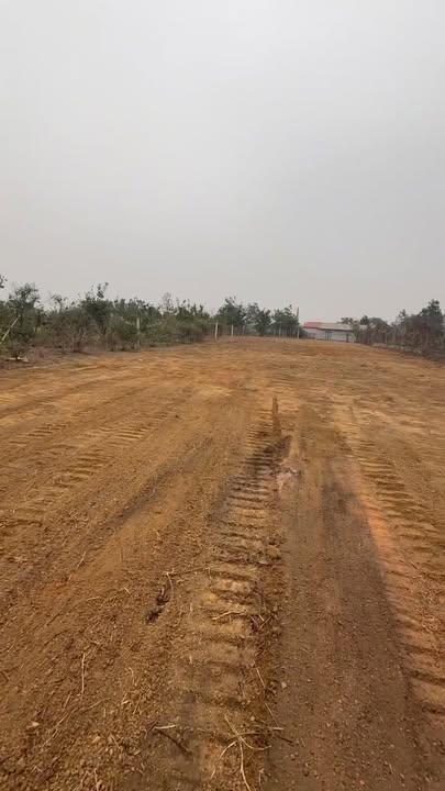 Bán Đất Vườn 1500m² Thạch Thất - Tiềm Năng Kinh Tế Vượt Trội