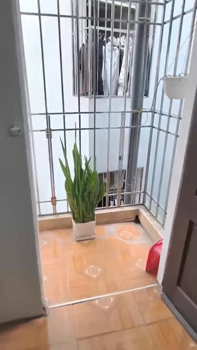 Phòng cho thuê Mễ Trì 25m² 3.6 triệu/tháng - Bàn giao ngay!