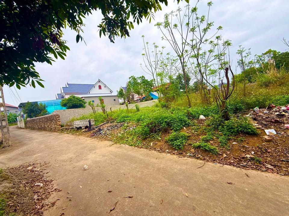 Đất Nền Đồi Ngô, Lục Nam 100m² - Hơn 700 Triệu, Gần KCN Tiềm Năng