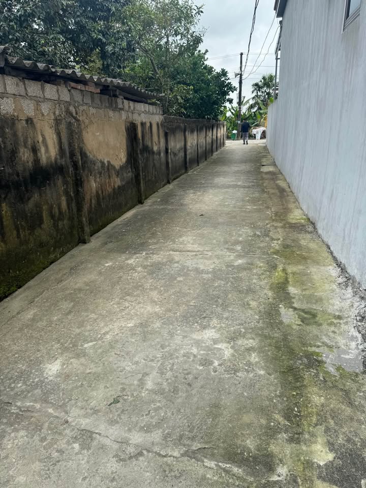 Đất Quảng Phú Thanh Hóa 183m² - Oto vào, gần KCN Lễ Môn